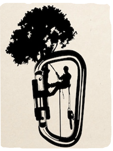 Logo Baumdienst John Zollitsch